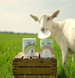 Pure Goat Company - Opvolgmelk 2 - Biologische Flesvoeding Op Basis Van Volle Geitenmelk - 800 Gram -Happy Horse Winkel 1161x1200 1