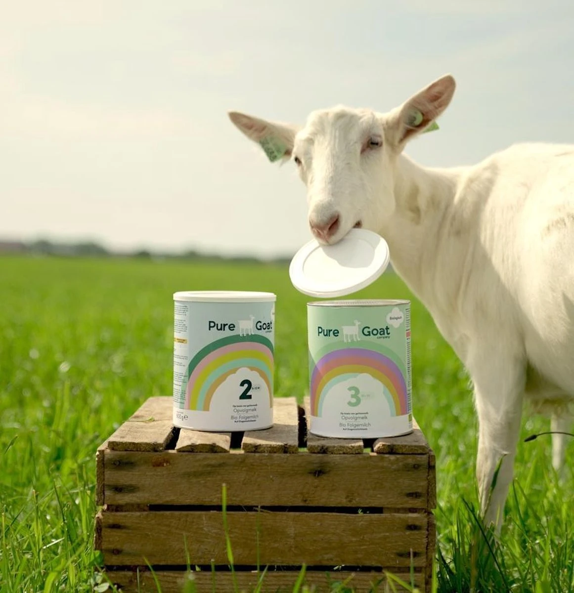 Pure Goat Company - Opvolgmelk 3 - Biologische Flesvoeding Op Basis Van Volle Geitenmelk - 800 Gram 7 Pure Goat Company - Opvolgmelk 3 - Biologische Flesvoeding Op Basis Van Volle Geitenmelk - 800 Gram - Afbeelding 5