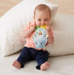 VTech Baby Bijtring Nijlpaardje - Educatief Babyspeelgoed - 0 Tot 24 Maanden -Happy Horse Winkel 1184x1200