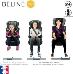 Nania - Autostoel BELINE Animals - Groep 1/2/3 - Meegroeistoel - Van 9 Tot 36 Kg - FLAMINGO -Happy Horse Winkel 1187x1200 2