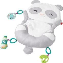 Fisher Price Allesinéén Pandaspeelmat -Happy Horse Winkel 1200x1184