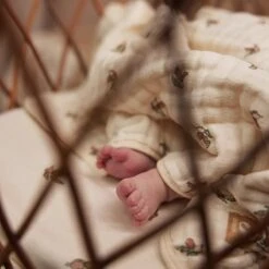 Jollein Deken Hydrofiel Wieg 75x100cm Rosehip -Happy Horse Winkel 1200x1200 482