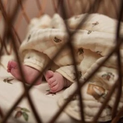 Jollein Deken Hydrofiel Wieg 75x100cm Rosehip -Happy Horse Winkel 1200x1200 484