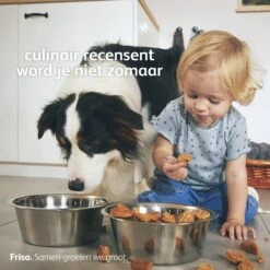 Friso 2 Babyvoeding - Opvolgmelk - 6 Tot 10 Maanden - 800g - Blik -Happy Horse Winkel 1200x1200 72