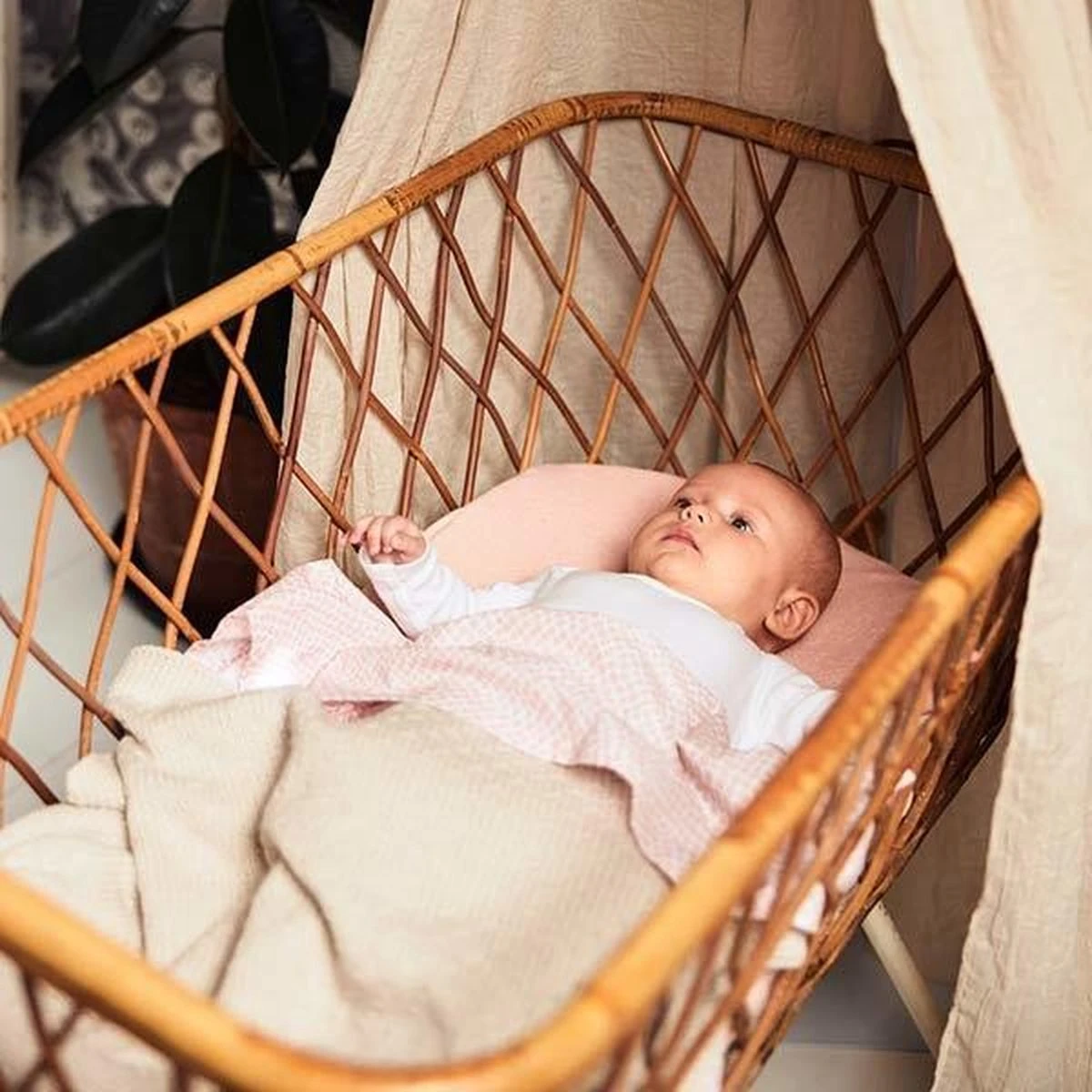 Jollein Baby Deken Wieg 75x100cm Teddy Bliss Knit - Nougat 14 Jollein Baby Deken Wieg 75x100cm Teddy Bliss Knit - Nougat - Afbeelding 12