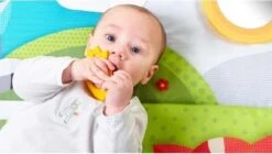 Tiny Love Supermat Speelmat - Meadow Days -Happy Horse Winkel 1200x678 1