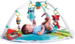 Tiny Love Dynamic Babygym - Meadow Days -Happy Horse Winkel 1200x702 1