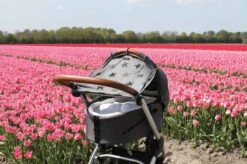 Dooky Universal Cover Zonnescherm Kinderwagen - Grey Stars -Happy Horse Winkel 1200x799 34