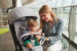 Chicco Buggy WE - Cool Grey -Happy Horse Winkel 1200x800 251