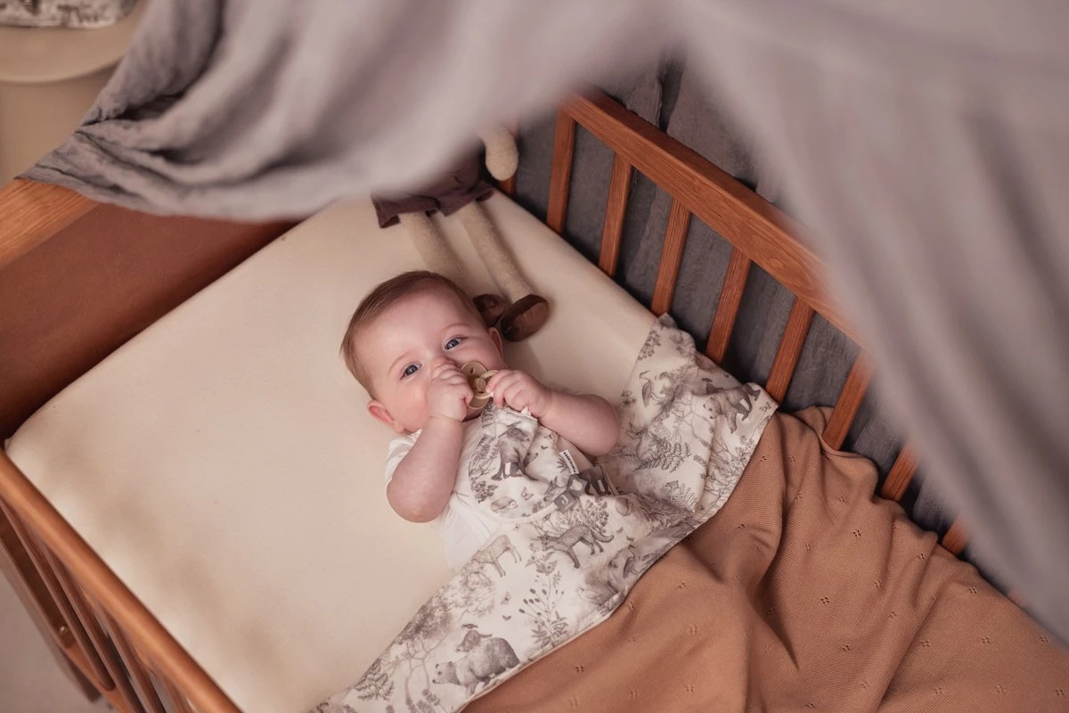 Jollein Speendoekje Pimpelmees - Forest Animals 4 Jollein Speendoekje Pimpelmees - Forest Animals - Afbeelding 2