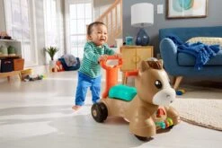 Fisher Price Fisher-Price Pony Loopvriendje - Looptrainer Baby - Bruin - Groen -Happy Horse Winkel 1200x800 33