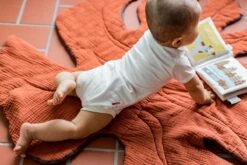 Zacht Babyboekje Amsterdam - 100% Katoen - Fairly Made - In Mooie Geschenkverpakking - Duurzaam En Origineel Kraamcadeau -Happy Horse Winkel 1200x800 40