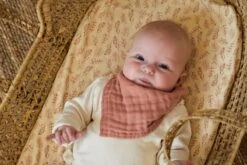 Jollein Baby Hoeslaken Ledikant Jersey 60x120cm - Meadow - Rosewood -Happy Horse Winkel 1200x800 98