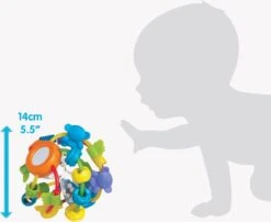 Playgro Speel En Leerbal - Grijp- En Bijtspeelgoed - Klikklak Geluiden - Spiegeltje - Kralen - Cilinder Met Rattelende Ballen 21 Playgro Speel En Leerbal - Grijp- En Bijtspeelgoed - Klikklak Geluiden - Spiegeltje - Kralen - Cilinder Met Rattelende Ballen -Happy Horse Winkel 1200x983 1