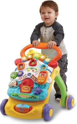 VTech 2 In 1 Baby Walker - Educatief Babyspeelgoed - Loopwagen Met Licht -Happy Horse Winkel 745x1200