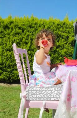 Babyjem Booster Chair Grey -Happy Horse Winkel 789x1200 4