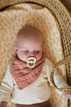 Jollein Baby Hoeslaken Ledikant Jersey 60x120cm - Meadow - Rosewood -Happy Horse Winkel 799x1200 17