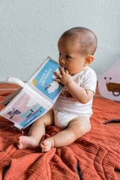 Zacht Babyboekje Amsterdam - 100% Katoen - Fairly Made - In Mooie Geschenkverpakking - Duurzaam En Origineel Kraamcadeau -Happy Horse Winkel 800x1200 26