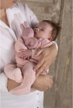 Nijntje - Rammelaar - Pink Baby Rib - 0+ Maanden -Happy Horse Winkel 810x1200