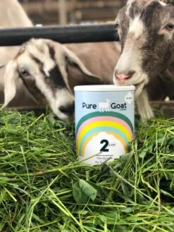Pure Goat Company - Opvolgmelk 2 - Biologische Flesvoeding Op Basis Van Volle Geitenmelk - 800 Gram -Happy Horse Winkel 900x1200 1